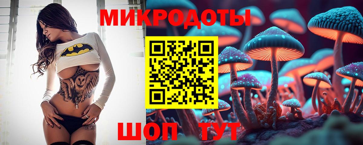 Галлюциногенные грибы мицелий Ставрополь