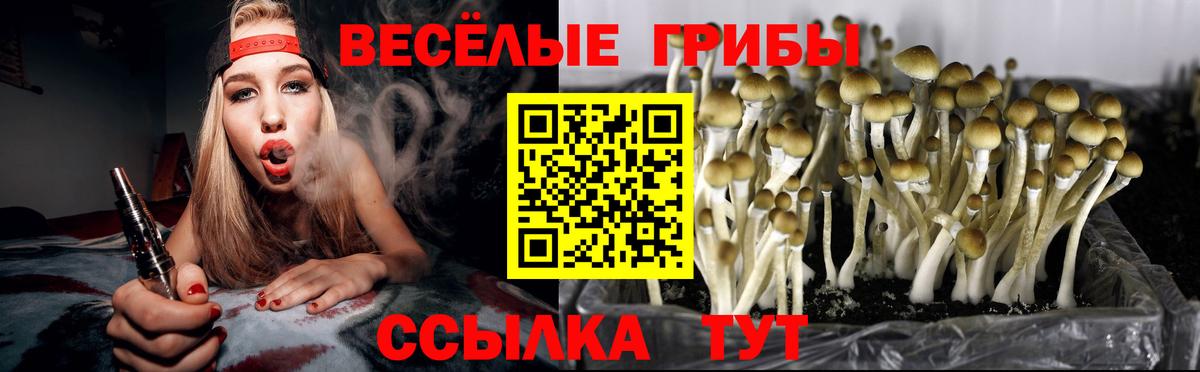 Галлюциногенные грибы мухоморы  Вход с VPN  Псилоцибиновые грибы MAGIC MUSHROOMS  Ставрополь 